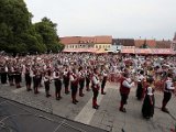 2014_07_20 Kubesfestival Sobeslav (19).jpg